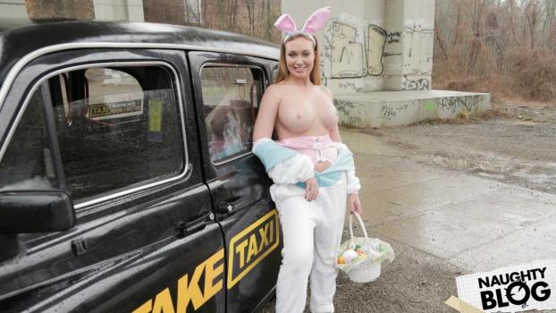 Fake Taxi – Liza Billberry