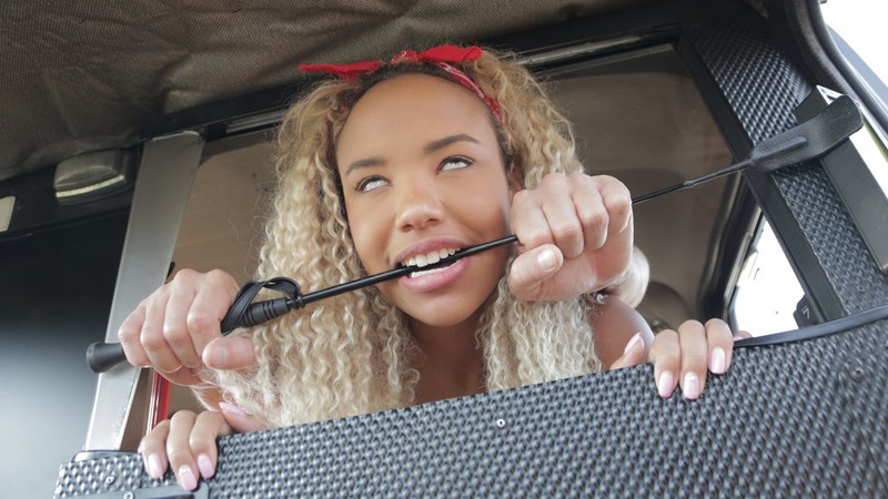 Romy Indy – The Dominatrix and the Big D