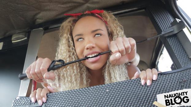 Fake Taxi – Romy Indy