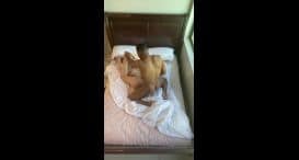 Lena Paul  – Onlyfans 212230915